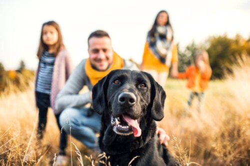 Pies z rodziną, psy ufają nam bardziej niż swoim rówieśnikom