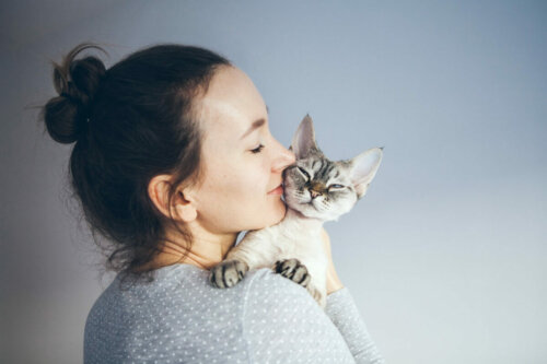Dziewczyna przytula kotka