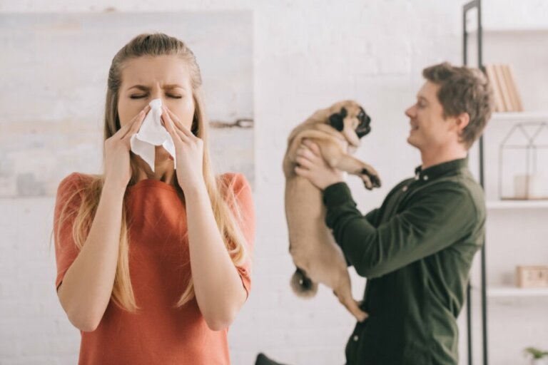 Oto rasy psów idealne dla alergików – 10 przykładów
