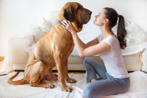 20 typowych rzeczy, które mogą zabić twojego psa