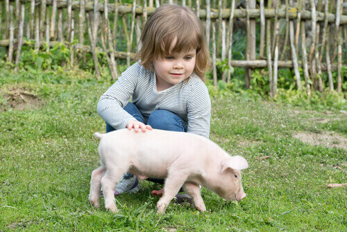 Dziewczynka z małą świnką