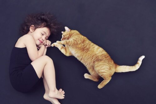 Dziewczynka z kotem, a jak nauczyć dzieci opieki nad zwierzęciem?