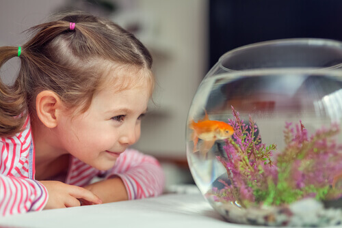 Dziewczynka patrzy na rybkę w akwarium
