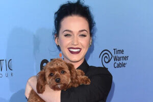 Katy Perry  z psem