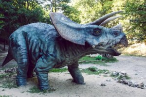 Triceratops, słynny z dinozaurów.