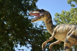 Welociraptor, słynny z dinozaurów.