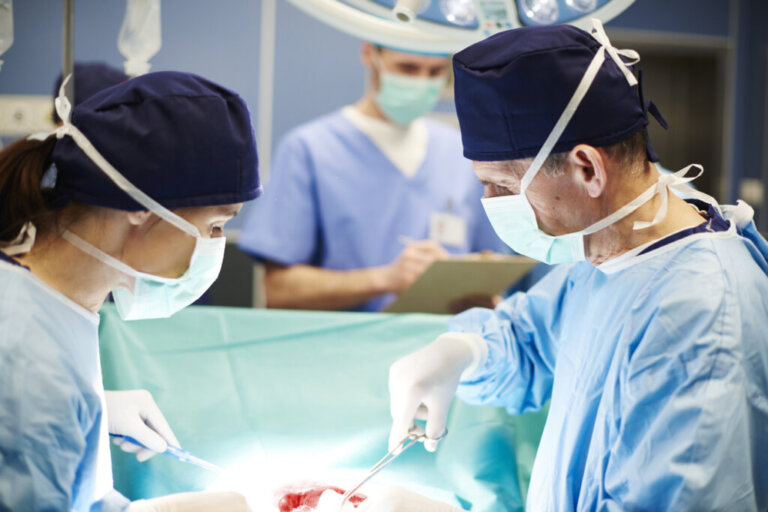 Ksenotransplantacja: czym jest i jakie są jej postępy?