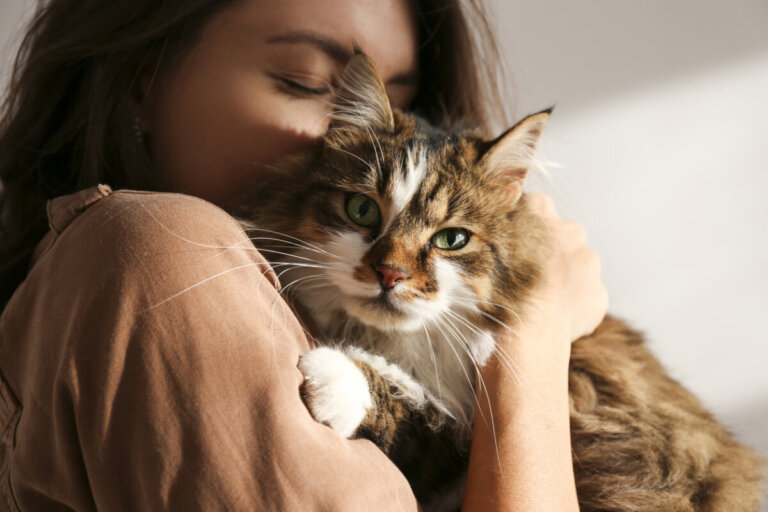 5 strategii promujących dobre samopoczucie twojego kota