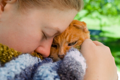 Czy koty żegnają się przed śmiercią: oznaki ostatniego pożegnania?