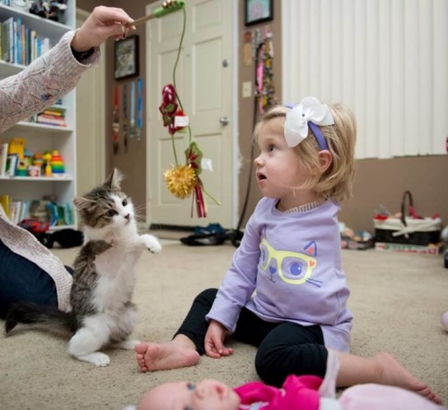 Katt med tre ben adopterad av flicka med amputerad arm