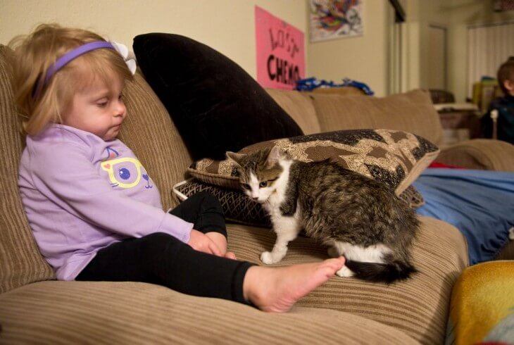 Flicka och katt i soffa