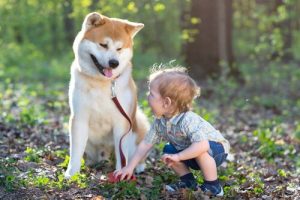 Hörselhundar och hur de kan påverka ett dövt barns liv