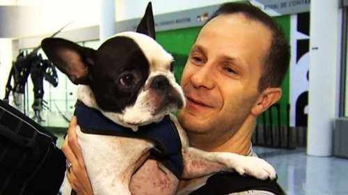 Berättelsen om en pilot som räddade en hunds liv