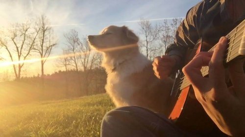 Hund som sitter i solen med sin ägare.