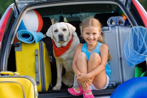 Barn och hund i bagageutrymmet på en bil