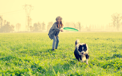 9 roliga aktiviteter för din hund då ni är utomhus
