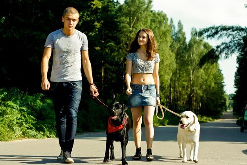 Tips för att gå på bättre promenader med hunden