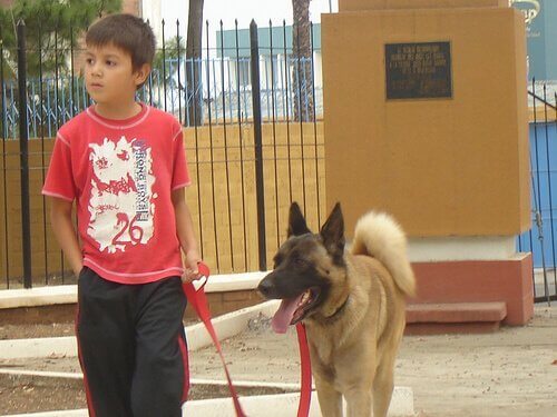 Barn promenerar med hund