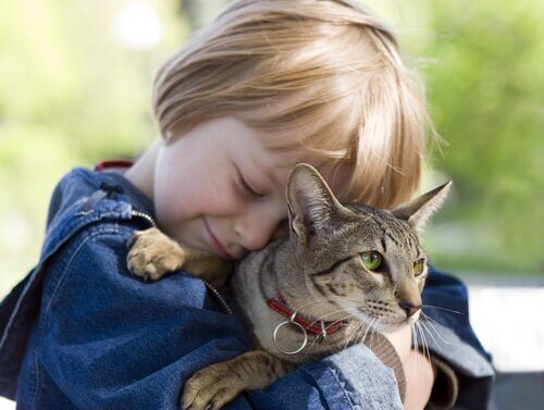 5 viktiga saker barn kan lära sig av katter