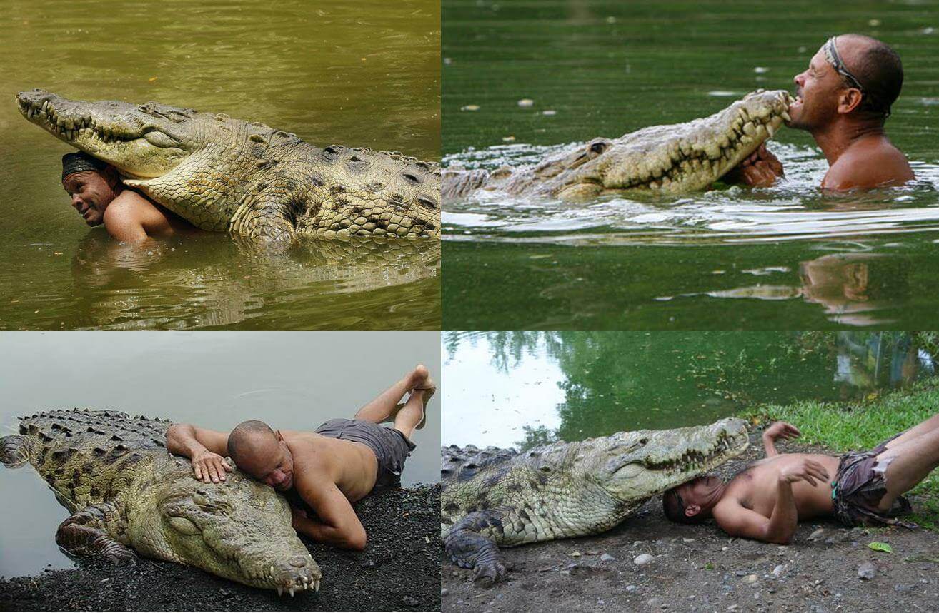 Den förvånande vänskapen mellan en man och en krokodil