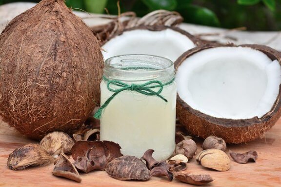 3 intressanta fördelar med kokosolja för hundar