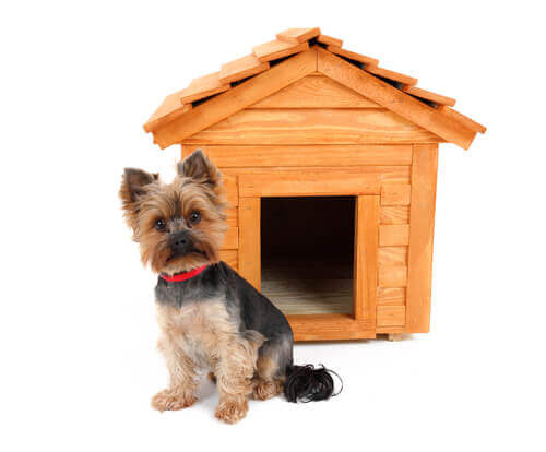 en hunds hus