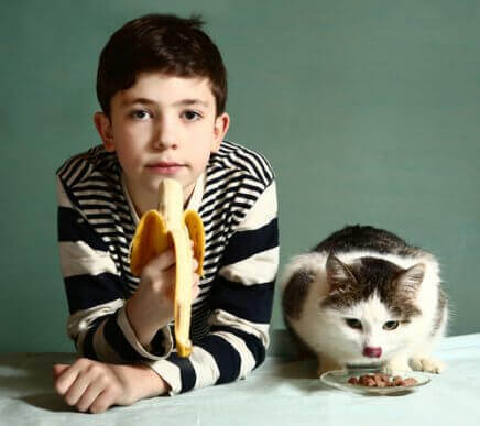 Näring för katter: frukter som katter kan äta
