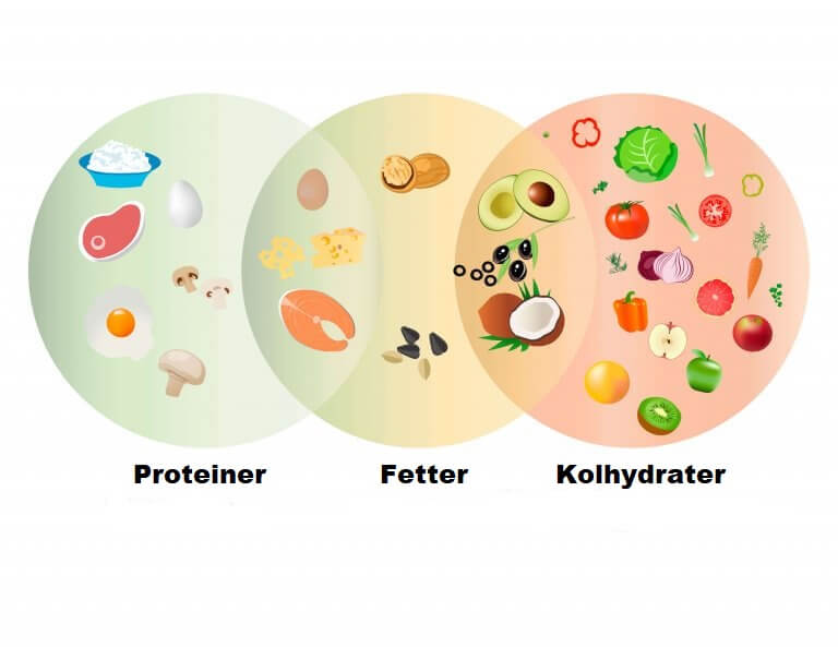 Protein, fett och kolhydrater