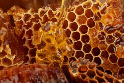 Honung från bikupan