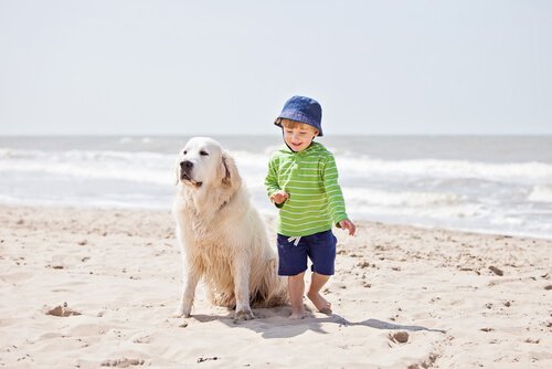 Hund och barn på stranden tillsammans.