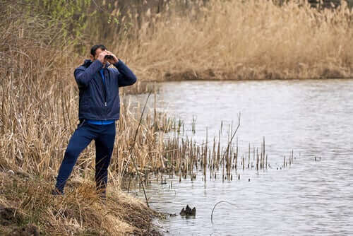 En man observerar våtmarken med en kikare.