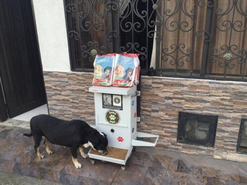 Hund äter från en dispenser.