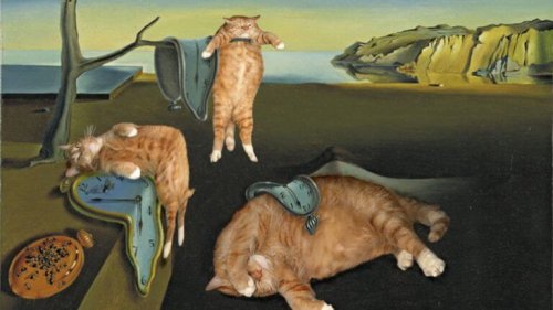 Salvador Dalis verk "Minnets envishet" med katter.