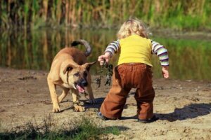 Vad du ska göra om dina barn är rädda för hundar