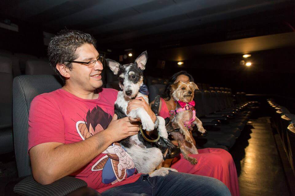 Hundar i konsertsal med sina ägare.