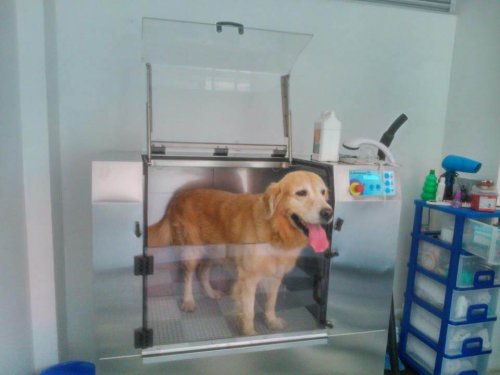 Hur maskiner som tvättar hundar fungerar