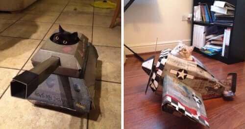 Stridsvagnar och flygplan: Kartongleksaker för katter