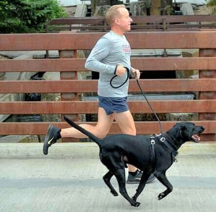 Ägare är ute på springtur med sin hund.