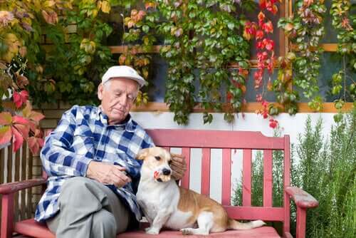 En äldre man sitter på en bänk med sin hund.