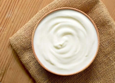 Bakterieflora hos hundar: En skål probiotisk yoghurt.