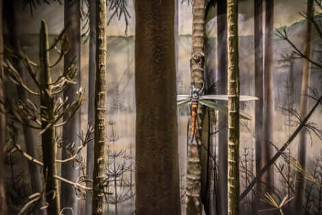 Gigantiska insekter: En trollslända i skogen.