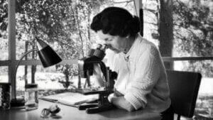 Rachel Carson tittar i mikroskåp