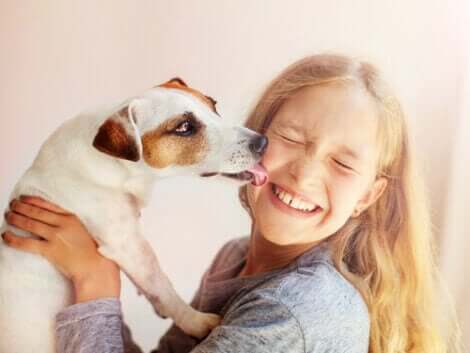 Ett medvetslöst djur: En hund slickar ett barn i ansiktet.