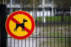 Skylt som förbjuder hundar