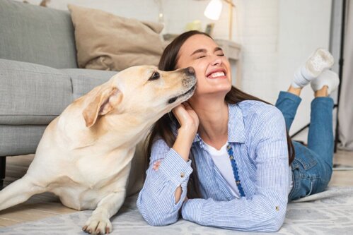 Varför ett välkomnande från din hund är så helande för din själ