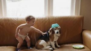 Child Writes a Letter to Deceased Dog and Receives Response