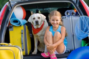 Activities to do with dogs: a dog and a girl on a road trip.