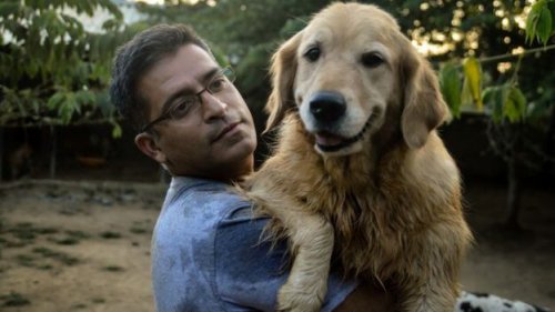 This Man Rescued 735 Stray Dogs