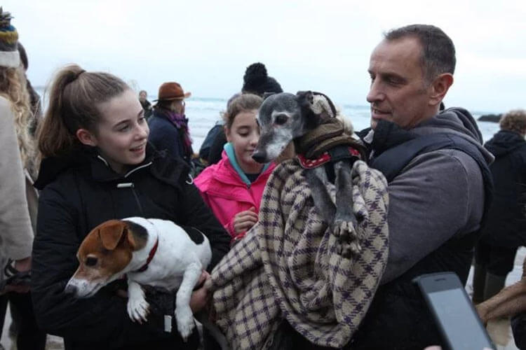 월넛의 마지막 산책