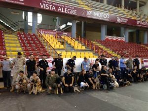 Why You Should Consider Adopting a Retired Police Dog